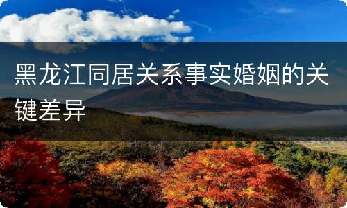 黑龙江同居关系事实婚姻的关键差异