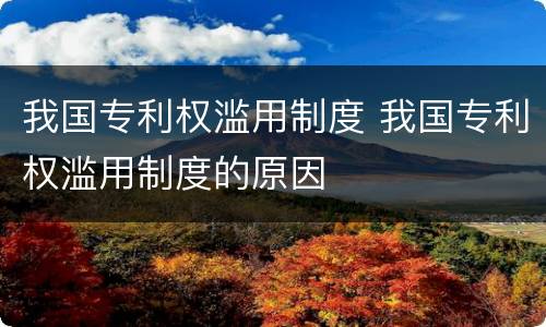 我国专利权滥用制度 我国专利权滥用制度的原因