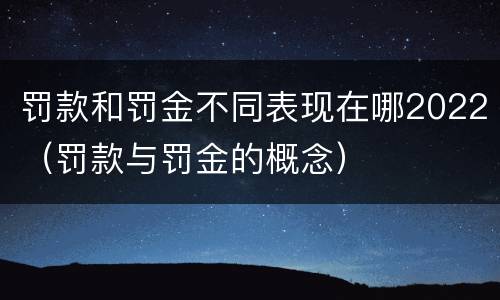罚款和罚金不同表现在哪2022（罚款与罚金的概念）