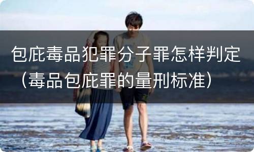 包庇毒品犯罪分子罪怎样判定（毒品包庇罪的量刑标准）
