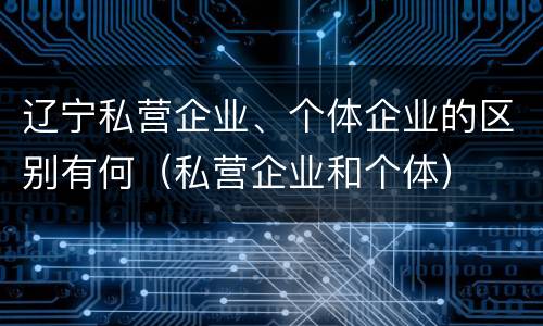 辽宁私营企业、个体企业的区别有何（私营企业和个体）