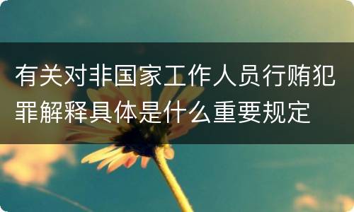 有关对非国家工作人员行贿犯罪解释具体是什么重要规定