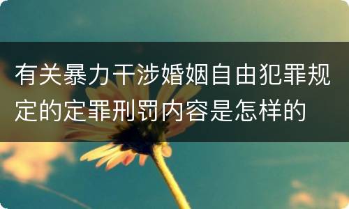 有关暴力干涉婚姻自由犯罪规定的定罪刑罚内容是怎样的
