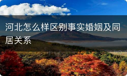 河北怎么样区别事实婚姻及同居关系