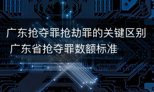 广东抢夺罪抢劫罪的关键区别 广东省抢夺罪数额标准