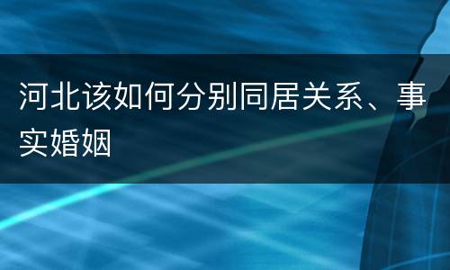 河北该如何分别同居关系、事实婚姻