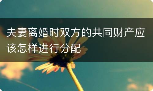 夫妻离婚时双方的共同财产应该怎样进行分配