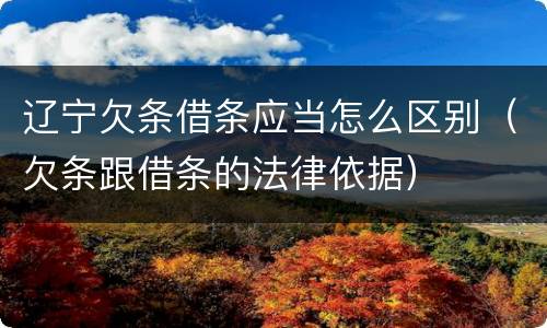 辽宁欠条借条应当怎么区别（欠条跟借条的法律依据）