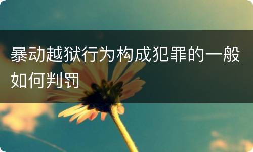 暴动越狱行为构成犯罪的一般如何判罚