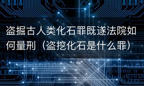 盗掘古人类化石罪既遂法院如何量刑（盗挖化石是什么罪）