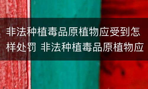 非法种植毒品原植物应受到怎样处罚 非法种植毒品原植物应受到怎样处罚呢
