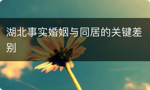 湖北事实婚姻与同居的关键差别