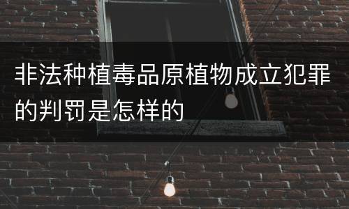 非法种植毒品原植物成立犯罪的判罚是怎样的