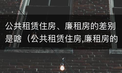 公共租赁住房、廉租房的差别是啥（公共租赁住房,廉租房的差别是啥呢）