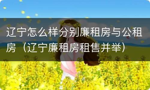 辽宁怎么样分别廉租房与公租房（辽宁廉租房租售并举）