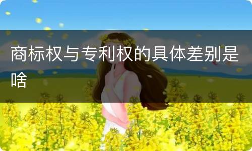 商标权与专利权的具体差别是啥