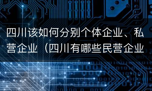 四川该如何分别个体企业、私营企业（四川有哪些民营企业）