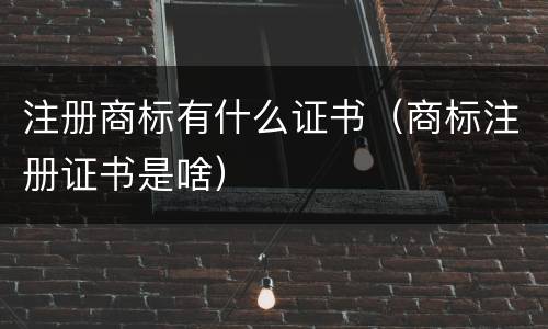 注册商标有什么证书（商标注册证书是啥）
