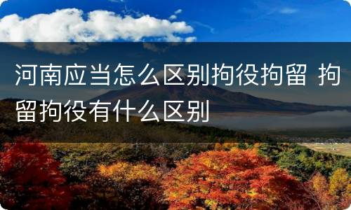 河南应当怎么区别拘役拘留 拘留拘役有什么区别