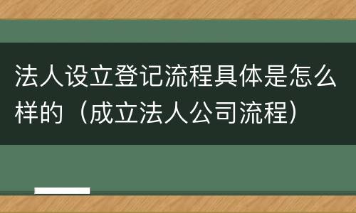 法人设立登记流程具体是怎么样的（成立法人公司流程）