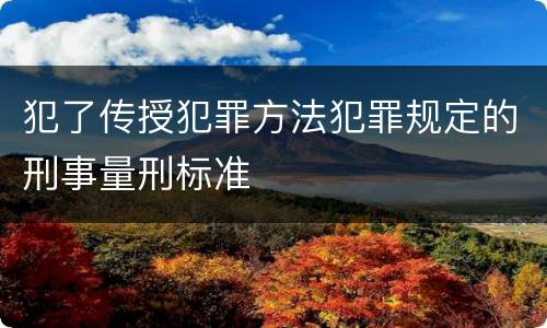 犯了传授犯罪方法犯罪规定的刑事量刑标准