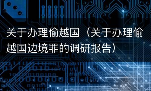 关于办理偷越国（关于办理偷越国边境罪的调研报告）