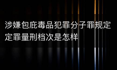 涉嫌包庇毒品犯罪分子罪规定定罪量刑档次是怎样