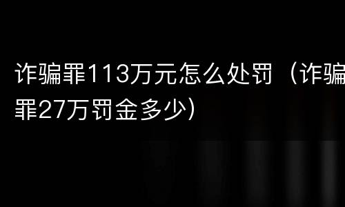 诈骗罪113万元怎么处罚（诈骗罪27万罚金多少）