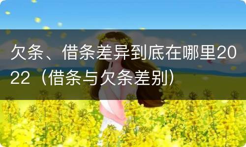 欠条、借条差异到底在哪里2022（借条与欠条差别）