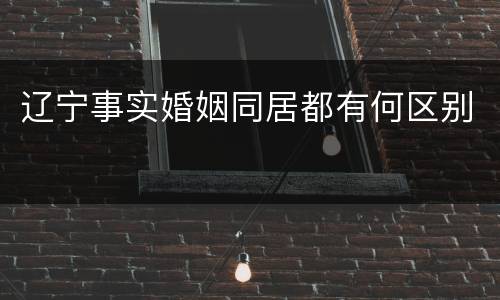 辽宁事实婚姻同居都有何区别