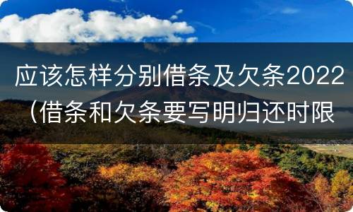 应该怎样分别借条及欠条2022（借条和欠条要写明归还时限）