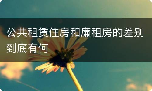 公共租赁住房和廉租房的差别到底有何