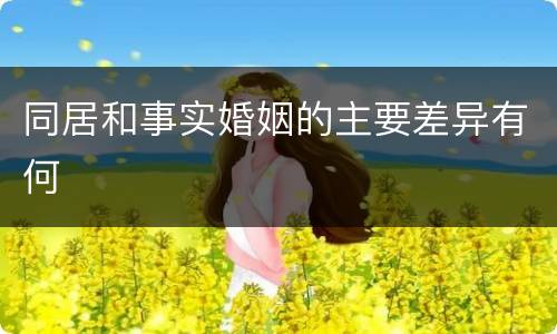 同居和事实婚姻的主要差异有何