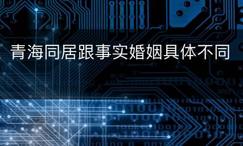 青海同居跟事实婚姻具体不同