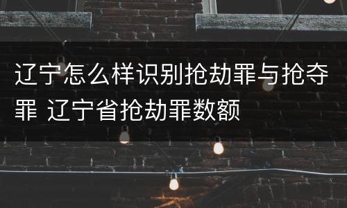 辽宁怎么样识别抢劫罪与抢夺罪 辽宁省抢劫罪数额
