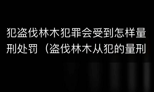 犯盗伐林木犯罪会受到怎样量刑处罚（盗伐林木从犯的量刑）
