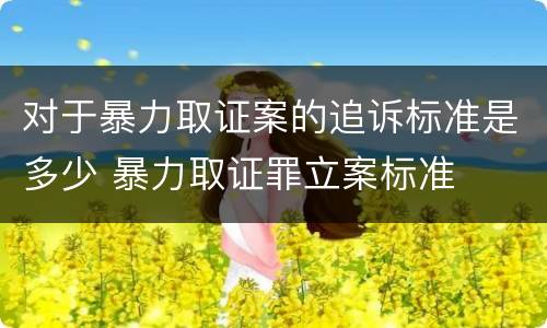 对于暴力取证案的追诉标准是多少 暴力取证罪立案标准
