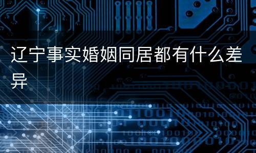 辽宁事实婚姻同居都有什么差异