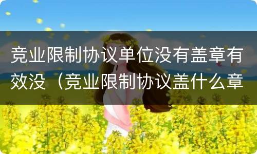 竞业限制协议单位没有盖章有效没（竞业限制协议盖什么章）