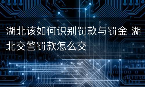 湖北该如何识别罚款与罚金 湖北交警罚款怎么交