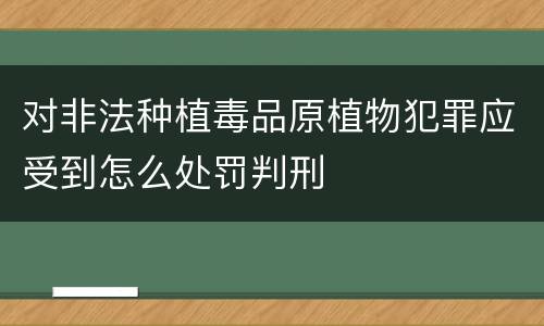 对非法种植毒品原植物犯罪应受到怎么处罚判刑