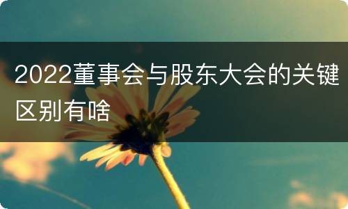 2022董事会与股东大会的关键区别有啥