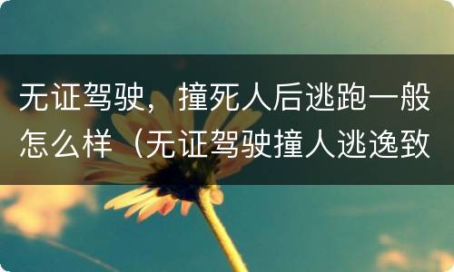 无证驾驶，撞死人后逃跑一般怎么样（无证驾驶撞人逃逸致死）