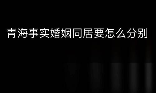青海事实婚姻同居要怎么分别