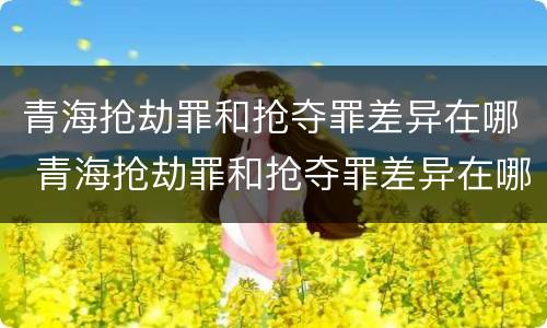 青海抢劫罪和抢夺罪差异在哪 青海抢劫罪和抢夺罪差异在哪查