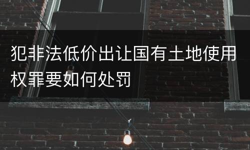 犯非法低价出让国有土地使用权罪要如何处罚