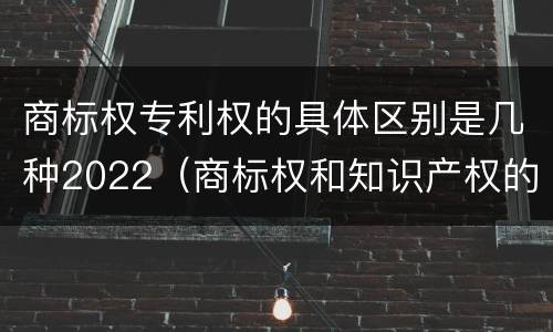 商标权专利权的具体区别是几种2022（商标权和知识产权的区别）