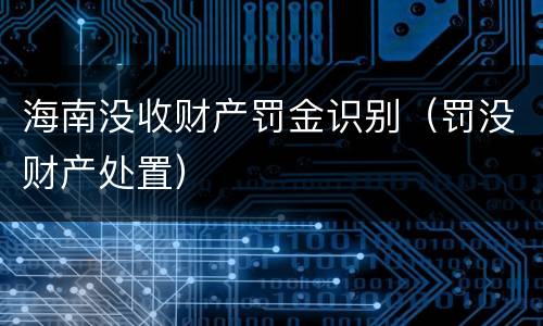 海南没收财产罚金识别（罚没财产处置）