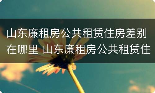 山东廉租房公共租赁住房差别在哪里 山东廉租房公共租赁住房差别在哪里查询