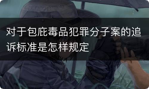 对于包庇毒品犯罪分子案的追诉标准是怎样规定